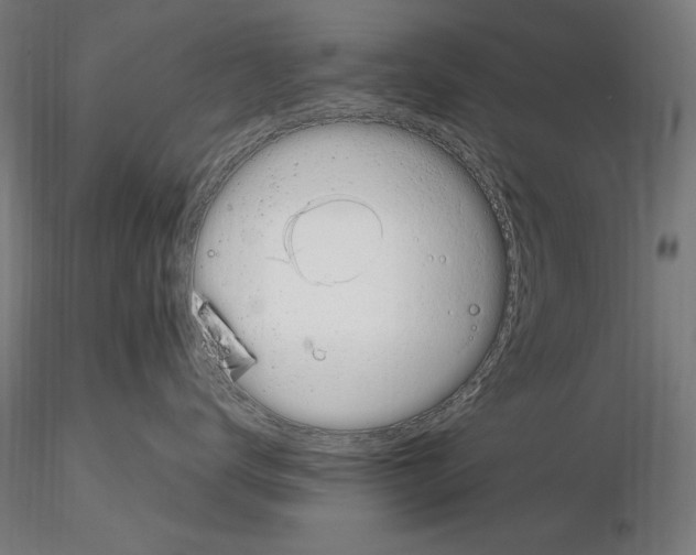 X0000115080672200912081212