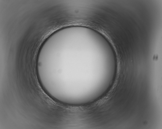 X0000115080673200912081212