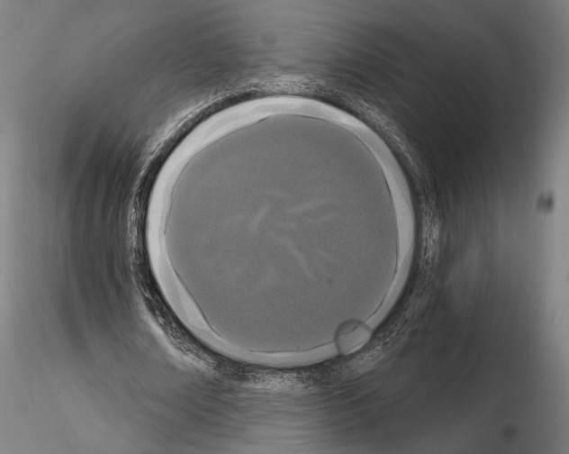 X0000115080674200912081212