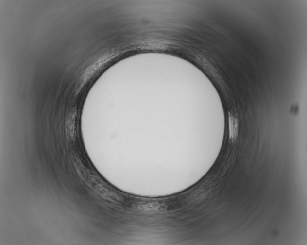 X0000115080675200912081212