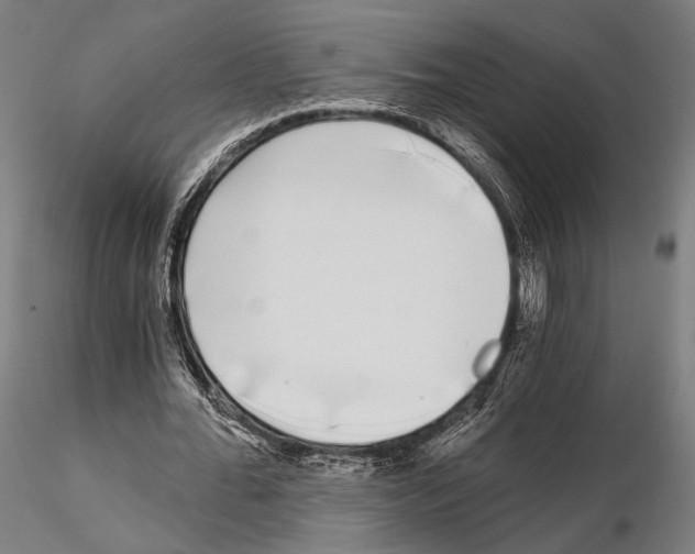 X0000115080676200912081212