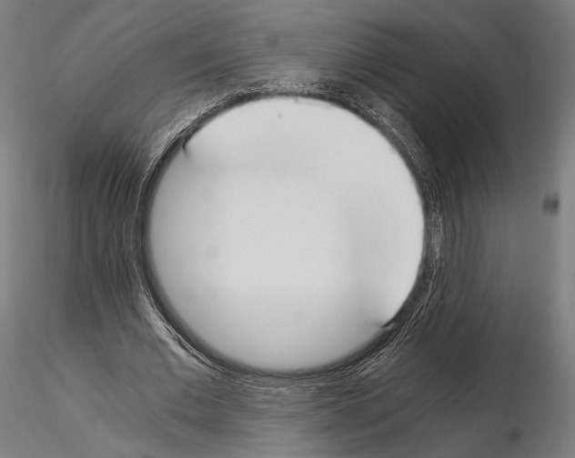 X0000115080677200912081212