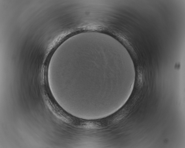 X0000115080678200912081212