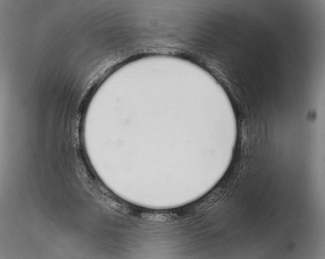 X0000115080679200912081212