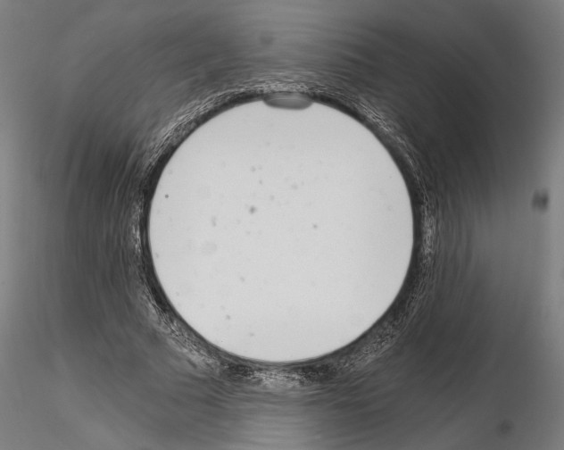 X0000115080681200912081212