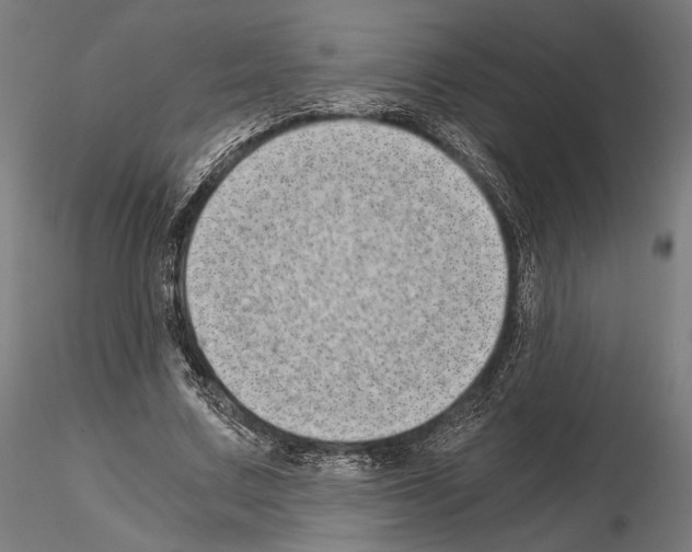 X0000115080683200912081212