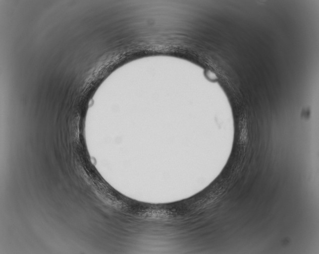 X0000115080685200912081212