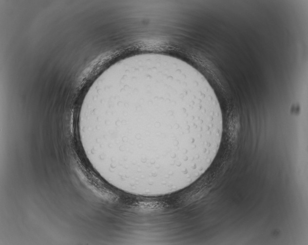 X0000115080686200912081212