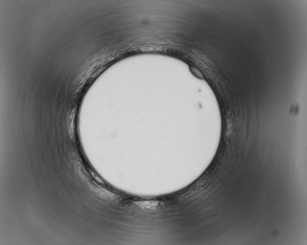 X0000115080687200912081212