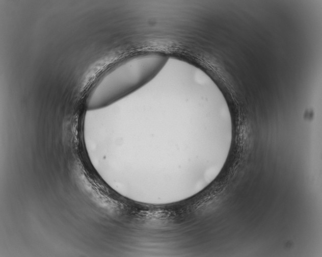 X0000115080688200912081212