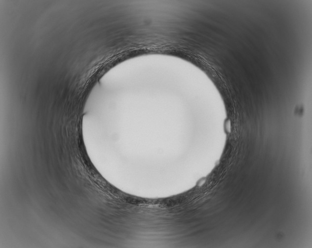 X0000115080689200912081212