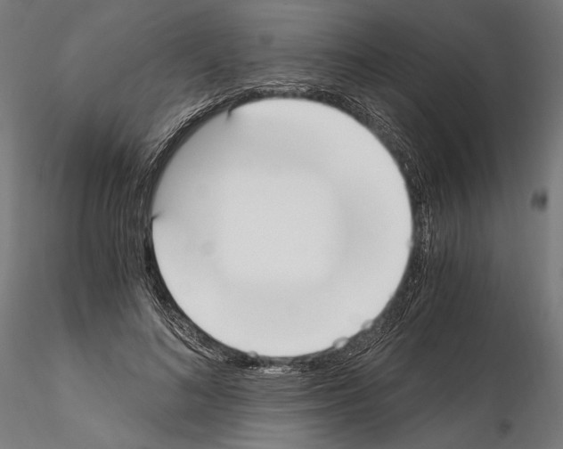 X0000115080692200912081211