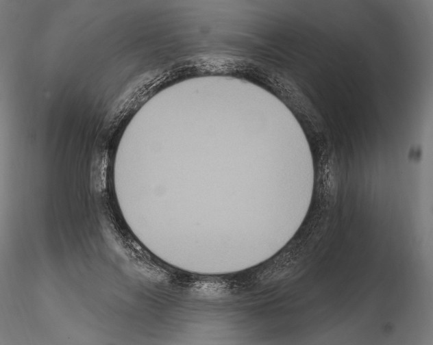 X0000115080694200912081211