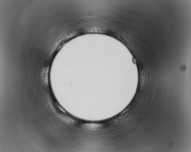 X0000115080695200912081211