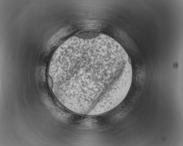 X0000115080696200912081211