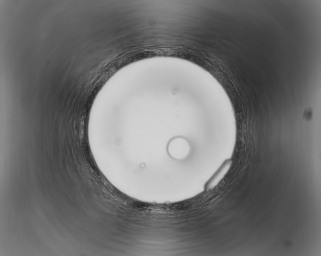 X0000115080697200912081211