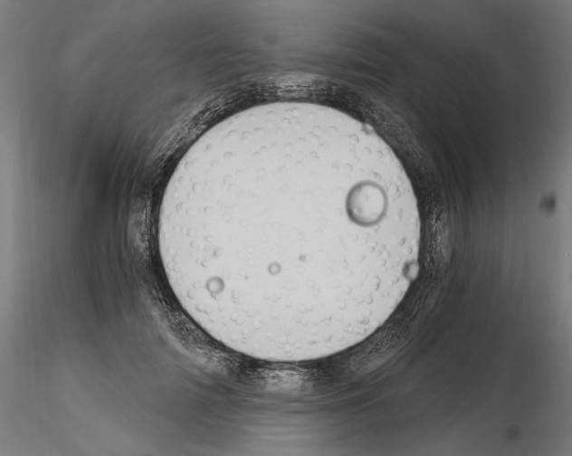 X0000115080698200912081211