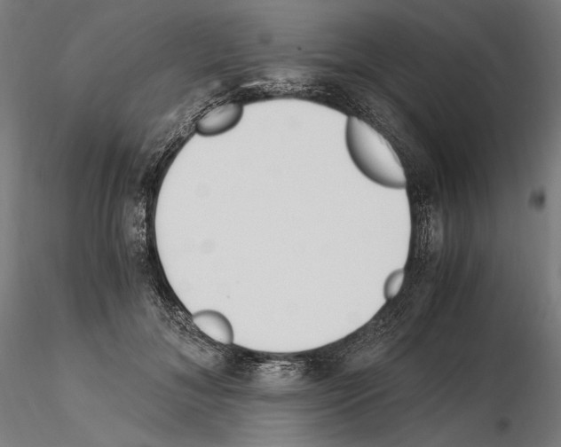 X0000115080700200912081211