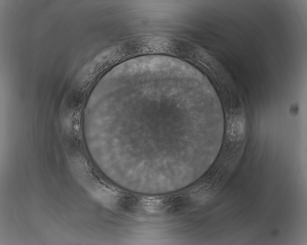 X0000115080701200912081211