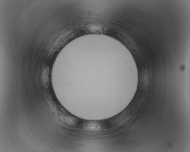 X0000115080702200912081211