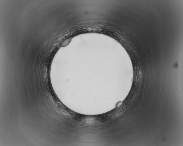 X0000115080704200912081211