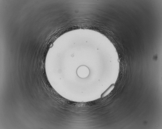 X0000115080705200912081211