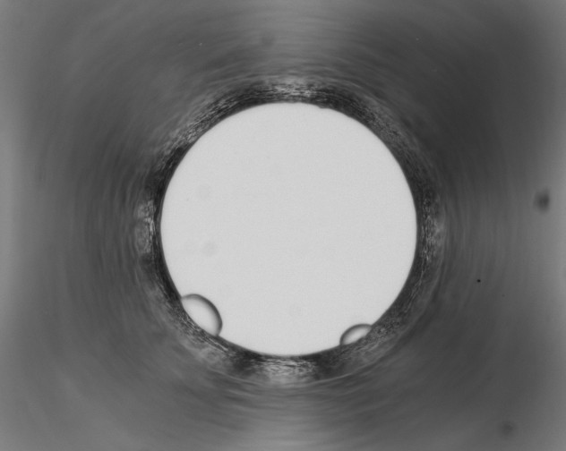 X0000115080707200912081211