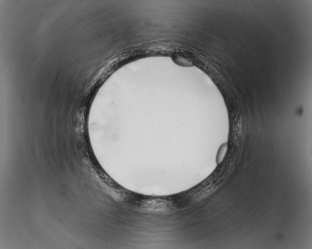 X0000115080708200912081211