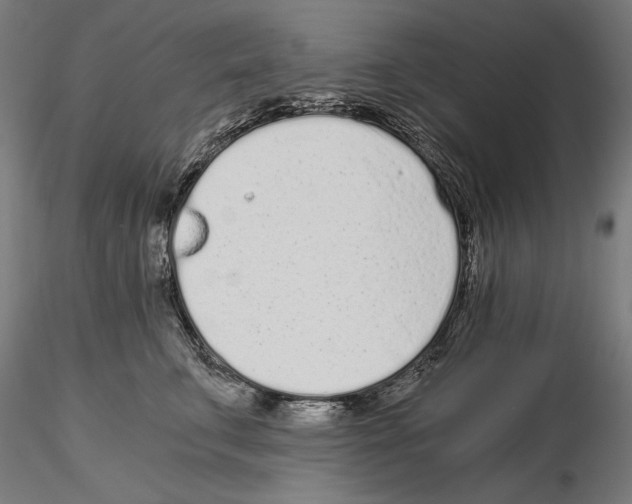 X0000115080711200912081211