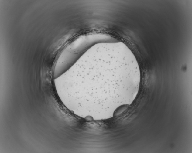 X0000115080712200912081211