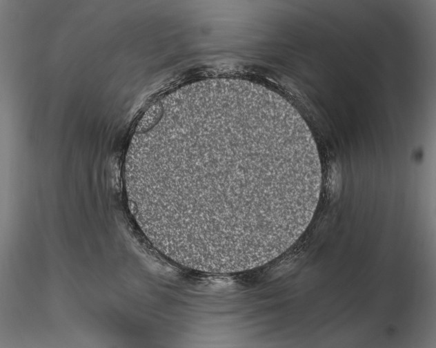 X0000115080715200912081211