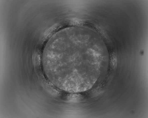 X0000115080716200912081211