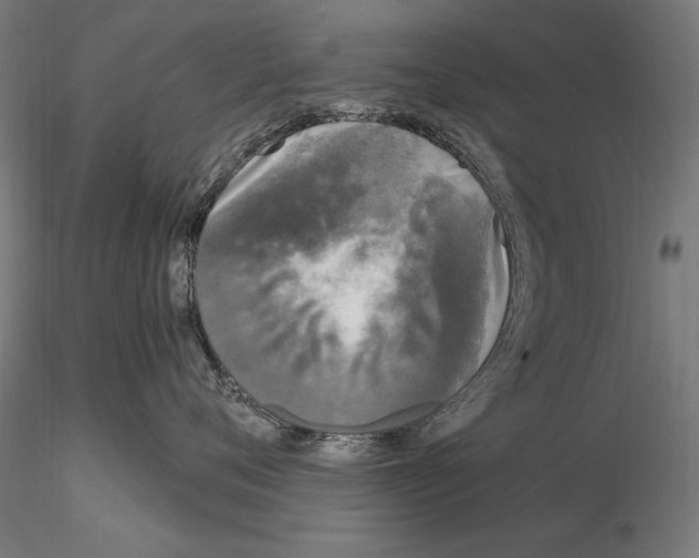 X0000115080720200912081211