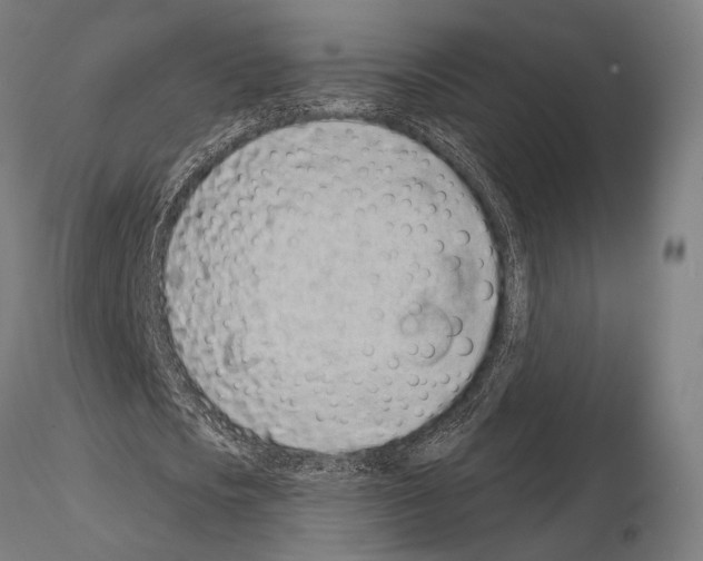 X0000115080721200912081210