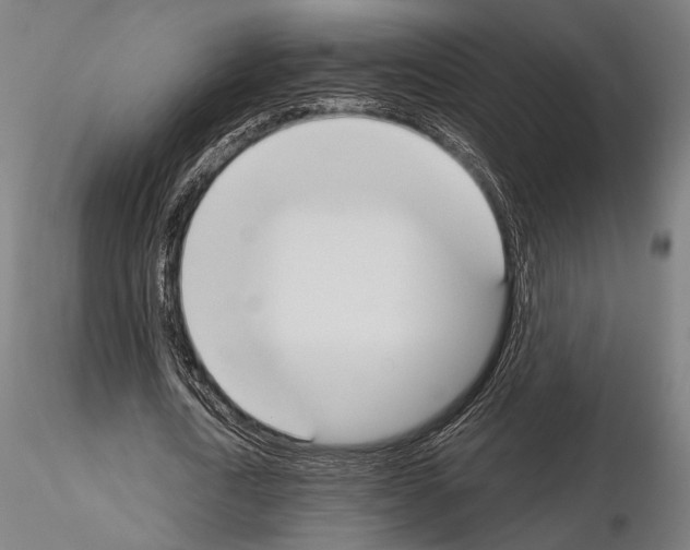 X0000115080722200912081210