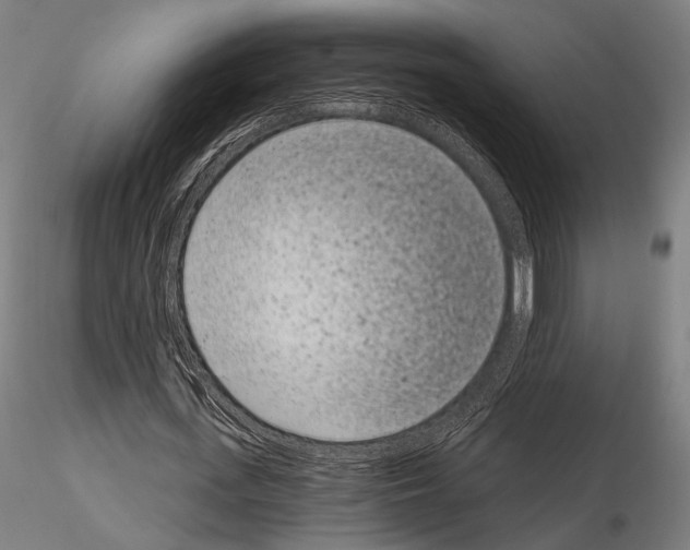 X0000115080723200912081210