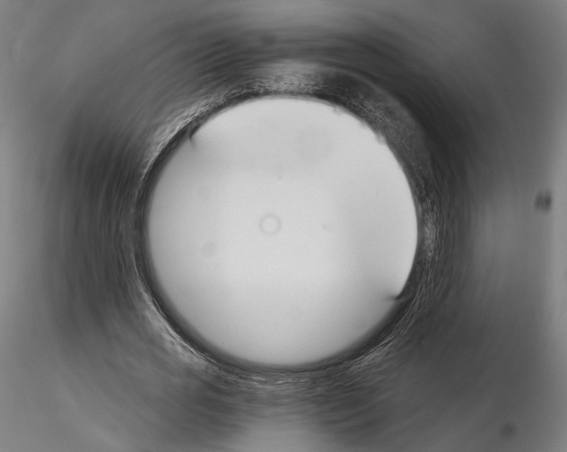 X0000115080725200912081210