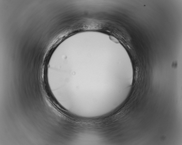 X0000115080726200912081210