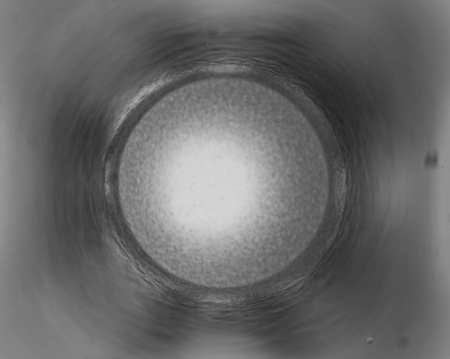 X0000115080727200912081210