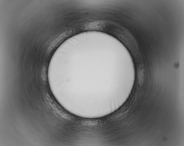 X0000115080729200912081210