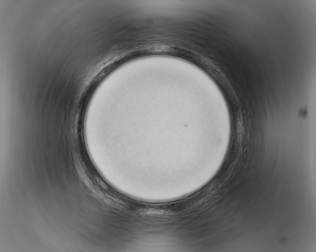 X0000115080730200912081210