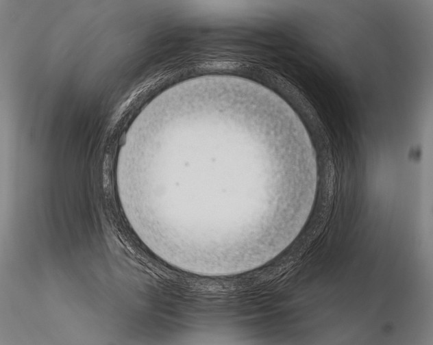 X0000115080731200912081210