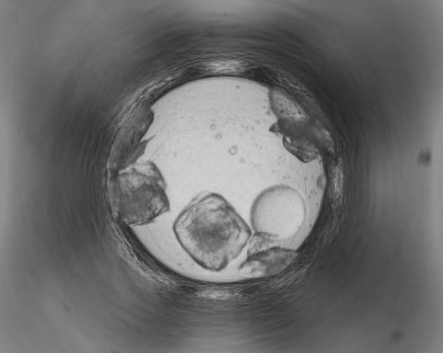 X0000115080733200912081210