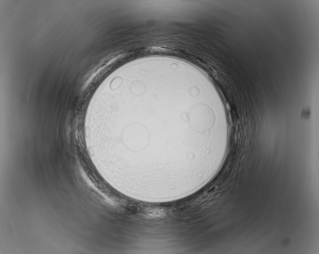 X0000115080734200912081210