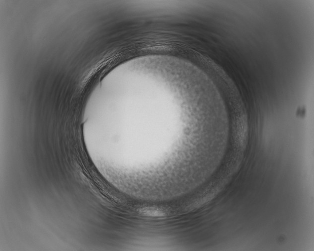 X0000115080735200912081210