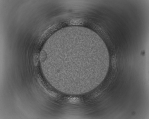 X0000115080741200912081211