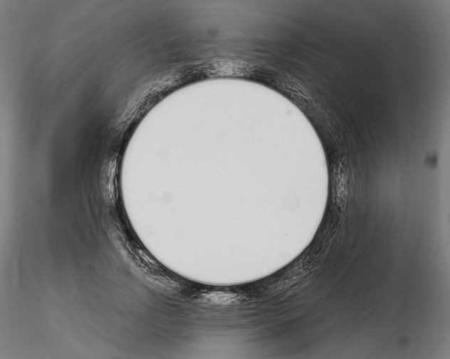 X0000115080742200912081211