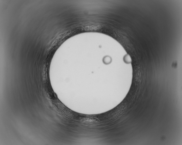 X0000115080743200912081211