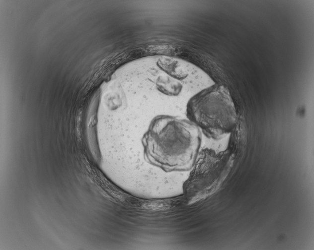 X0000115080745200912081211