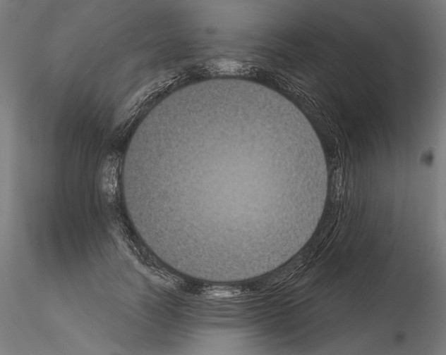 X0000115080746200912081211